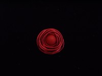 Anillo Modelo (049): Esfera.